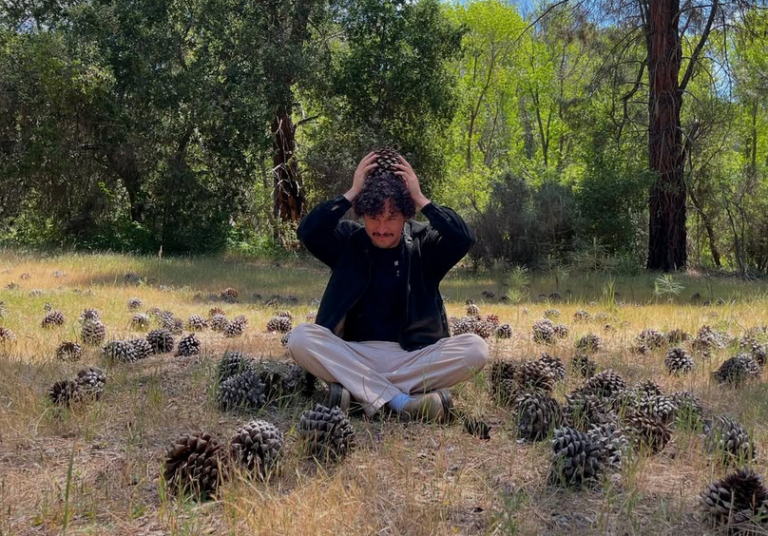 Biloba – Little Flower