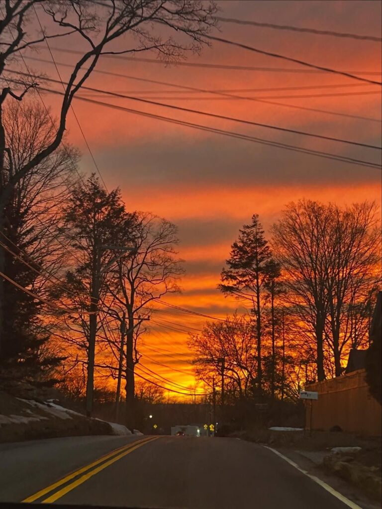 Cliff Root – Summer Sands